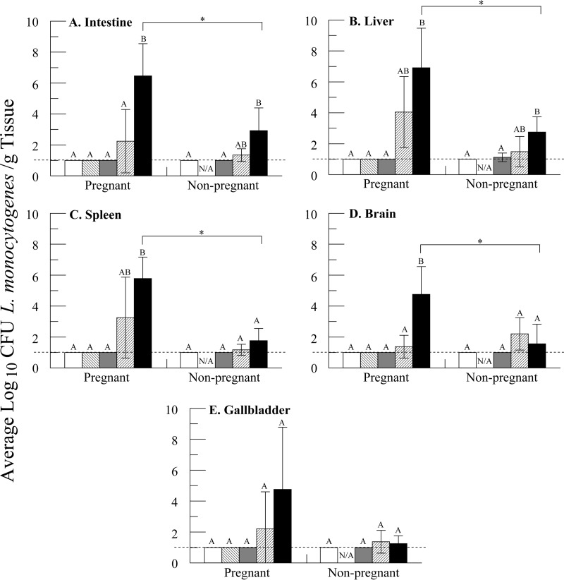 FIG 2