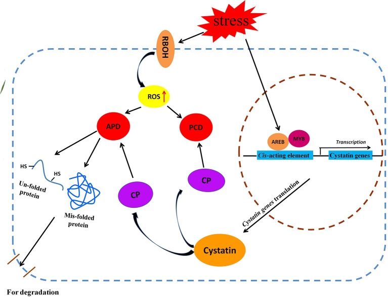 Figure 7