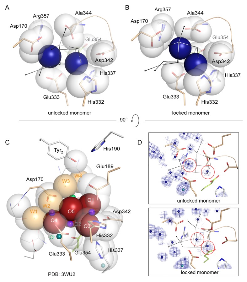 Figure 5—figure supplement 1.