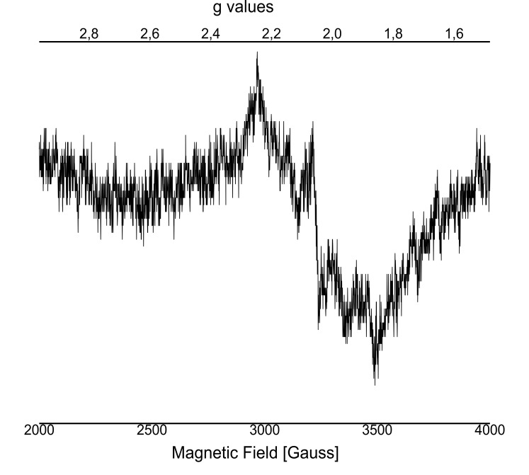 Figure 2—figure supplement 2.