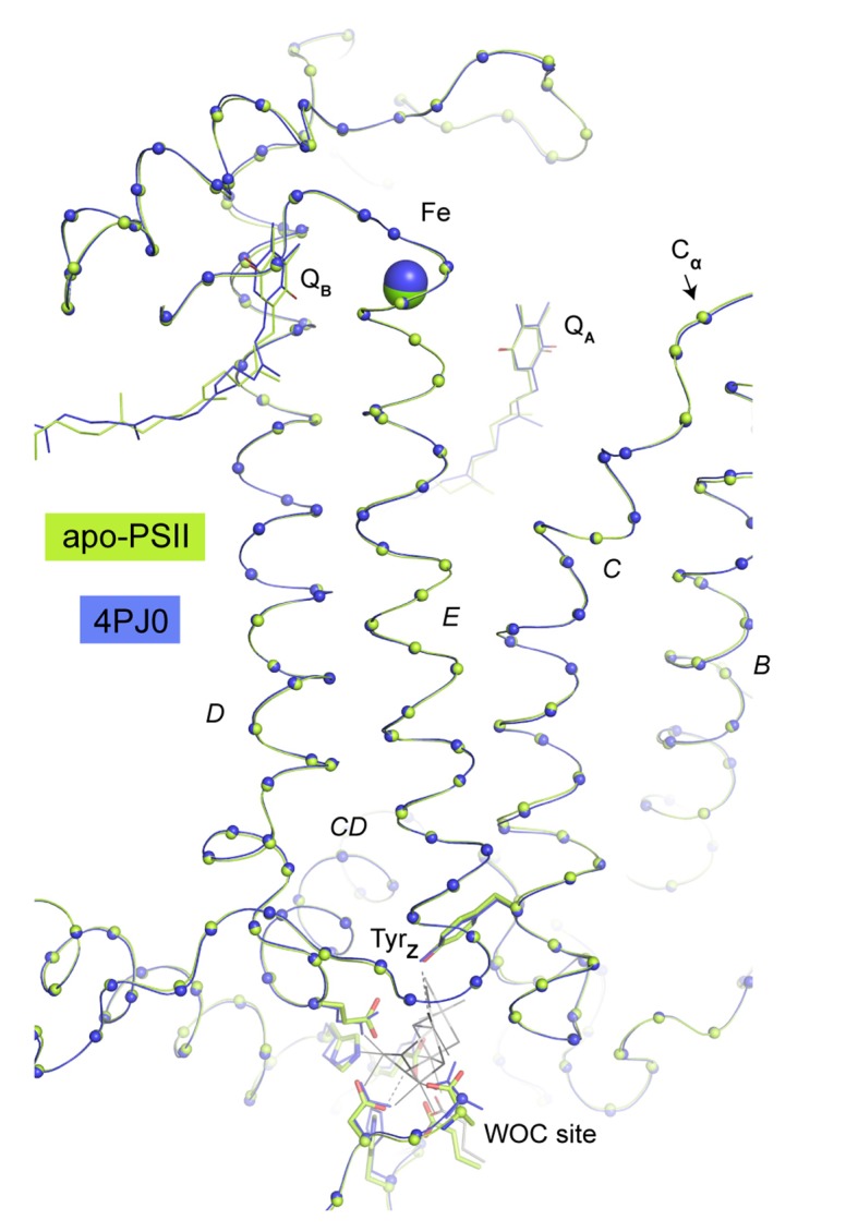 Figure 3—figure supplement 1.