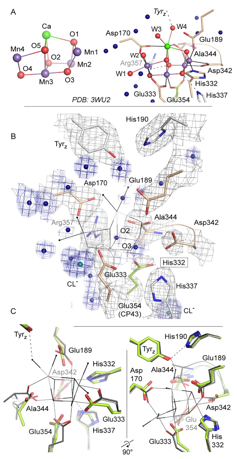 Figure 4.