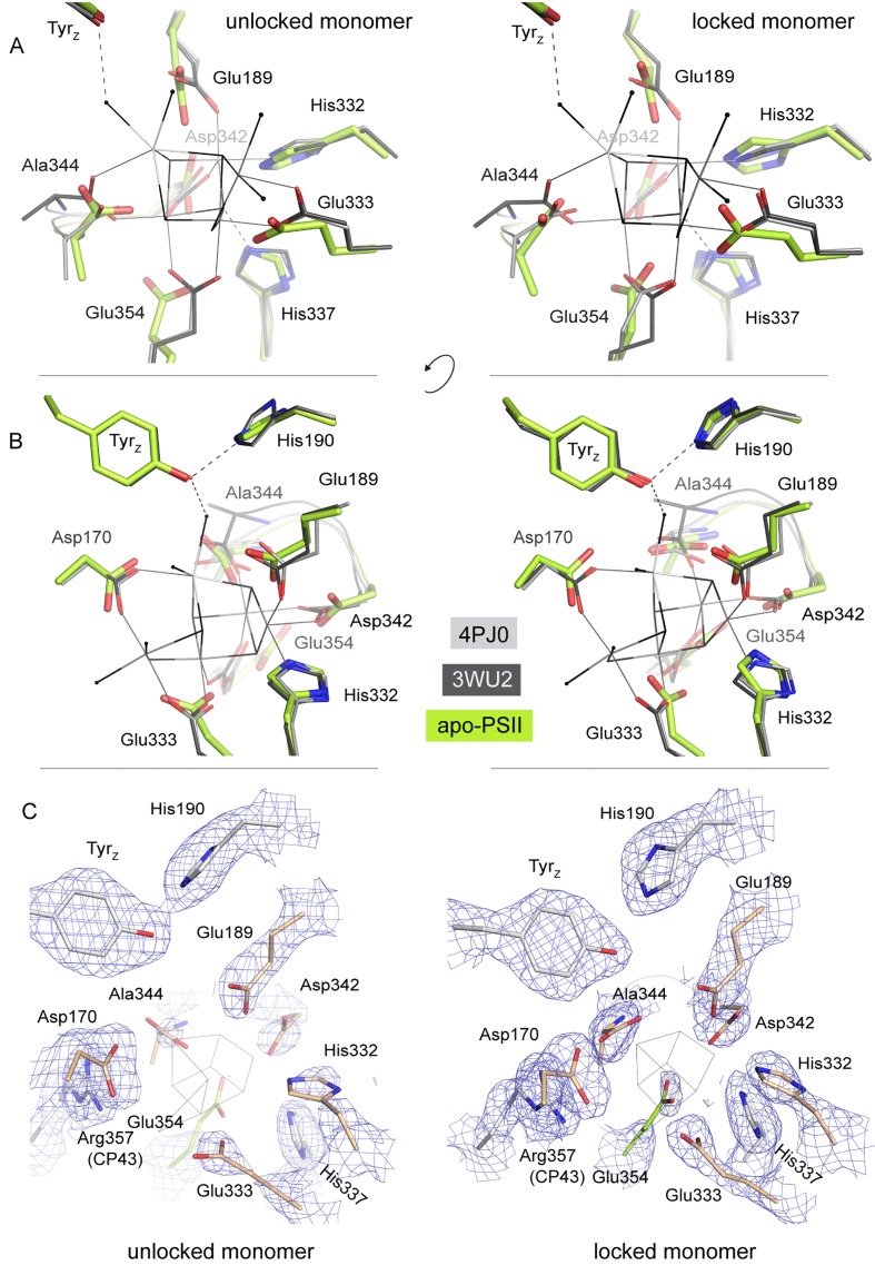 Figure 4—figure supplement 1.