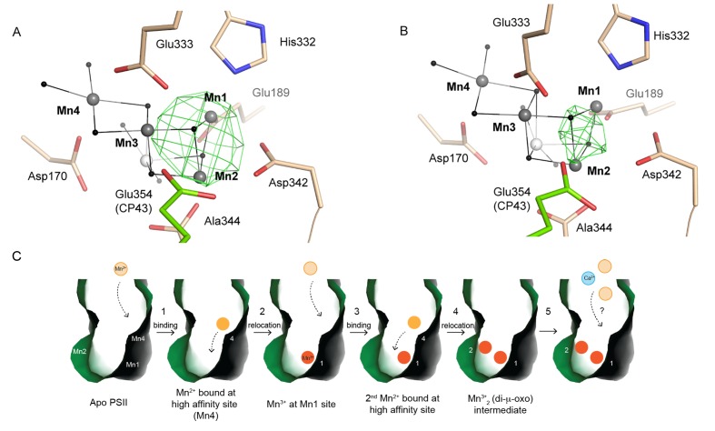 Figure 6.