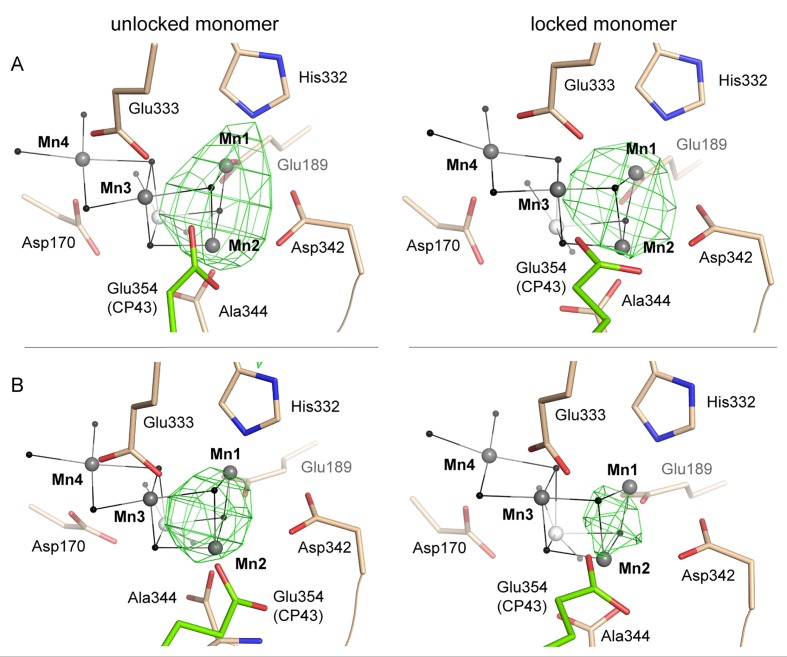 Figure 6—figure supplement 1.