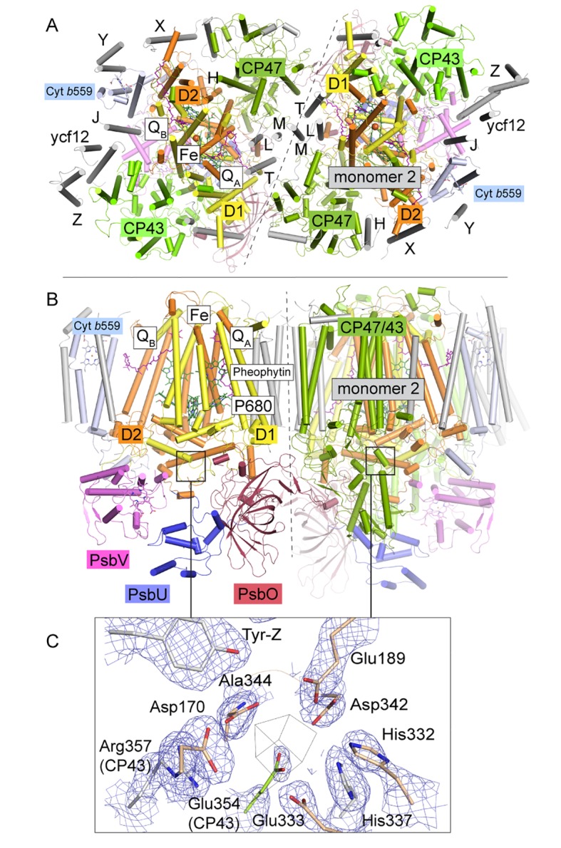 Figure 1.