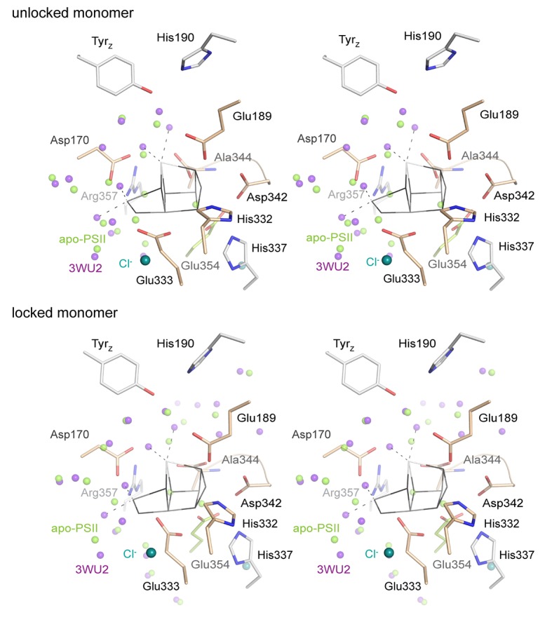 Figure 4—figure supplement 3.