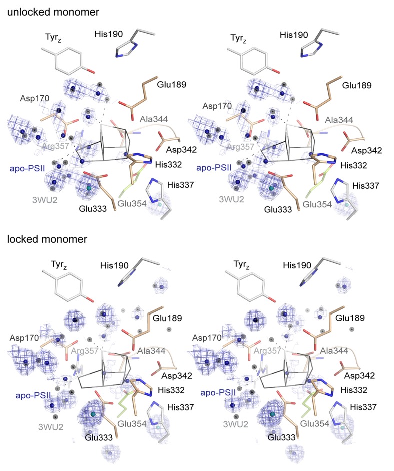 Figure 4—figure supplement 2.