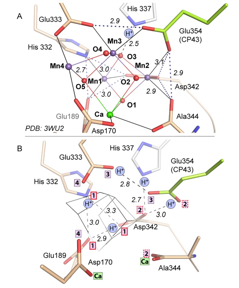 Figure 5.