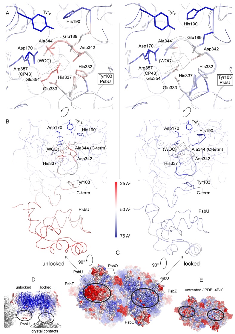 Figure 3—figure supplement 2.