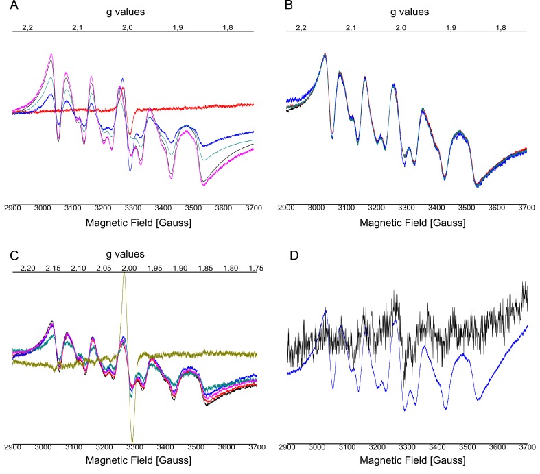 Figure 2—figure supplement 1.