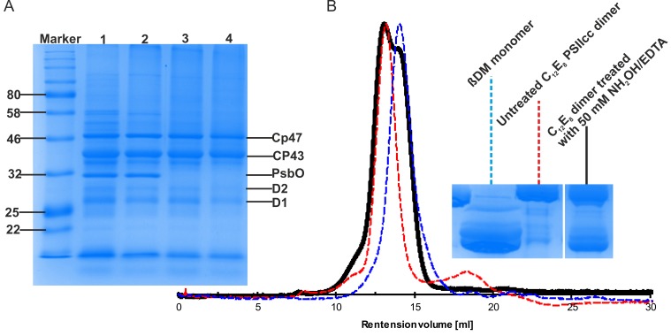 Figure 1—figure supplement 1.