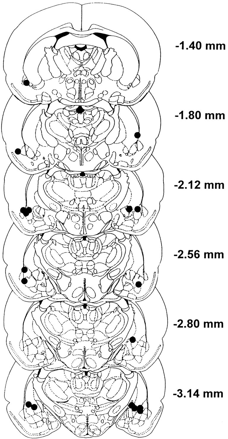 Fig. 8.