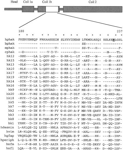 Figure  2