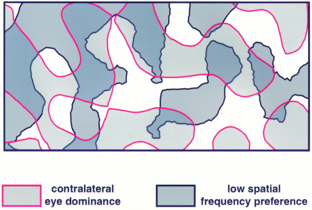 Fig. 12.