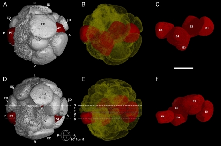 Fig. 4.