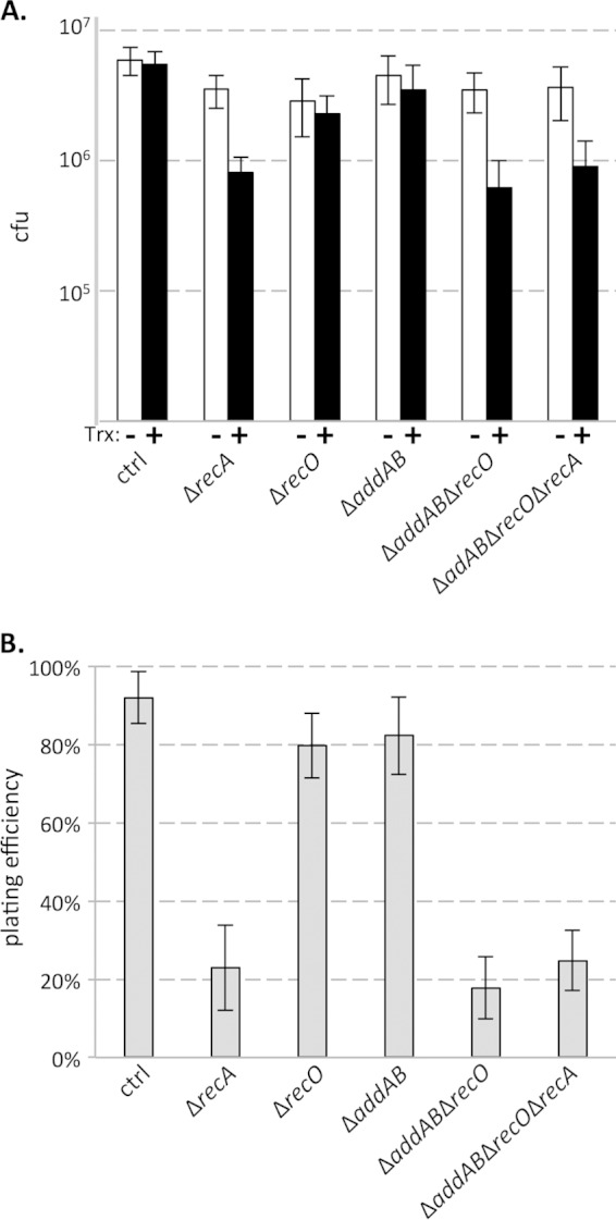 FIG 1