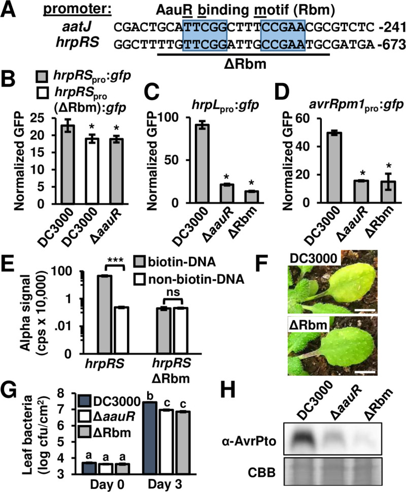 Fig 5