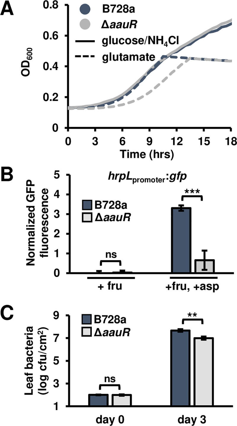 Fig 7