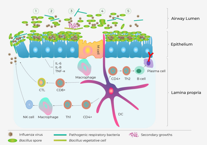 Figure 6