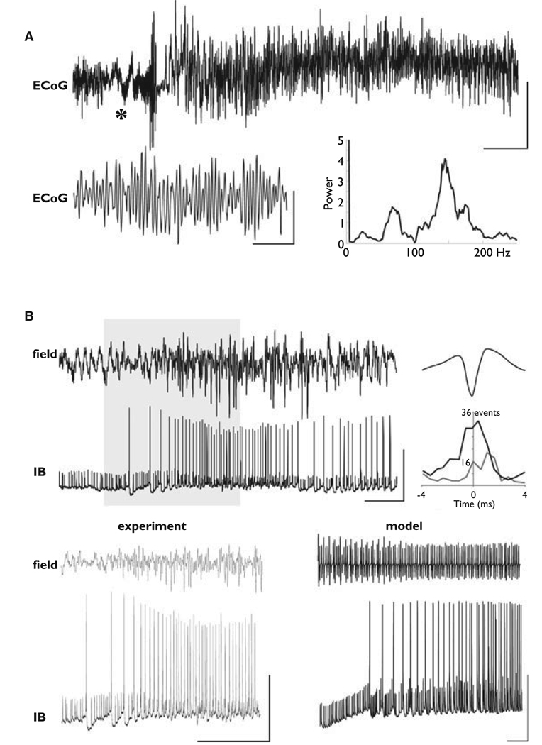 Figure. 1