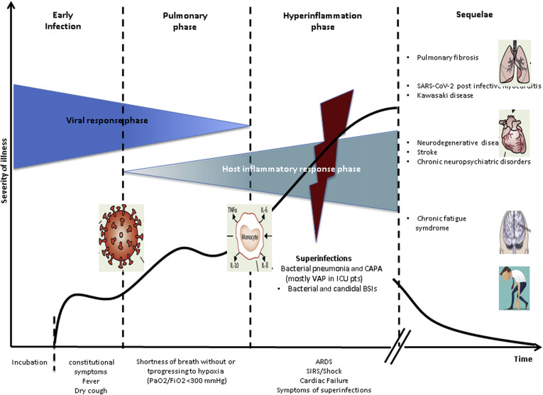 Figure 5