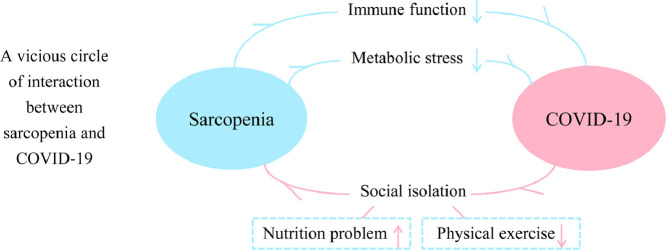 Image, graphical abstract