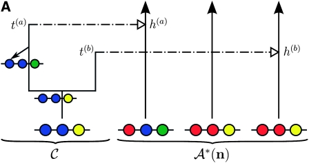 Figure 1.—