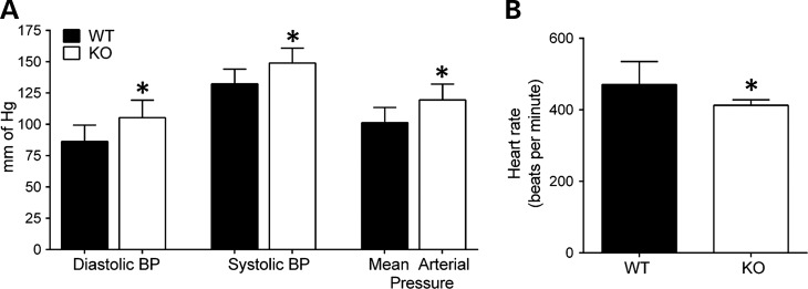 Figure 7.