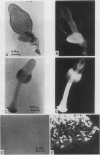 110
