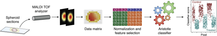 Figure 5