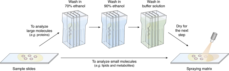 Figure 3