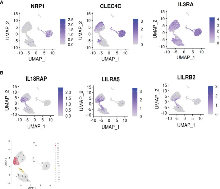 Figure 4