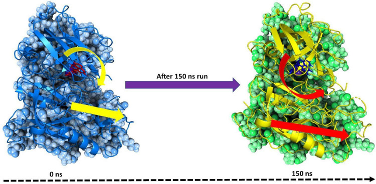 FIGURE 10