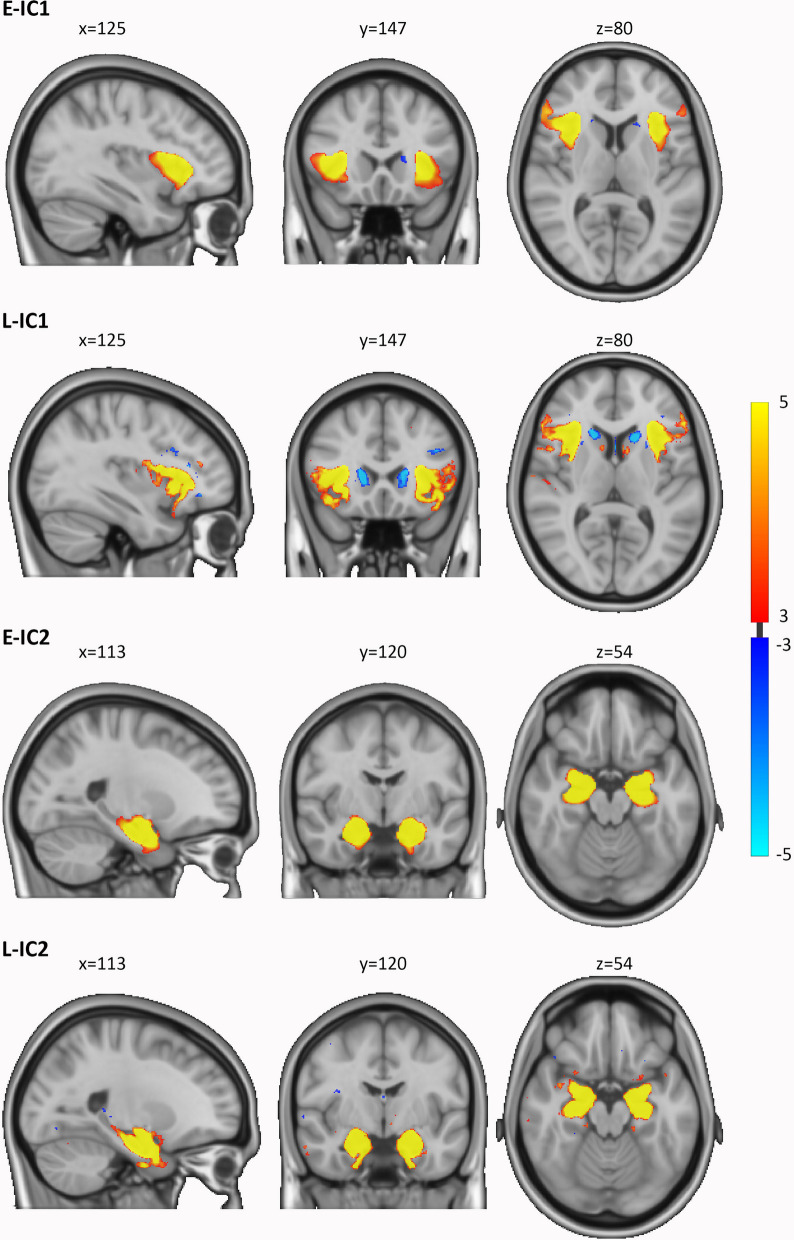 Fig. 1