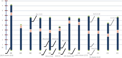 Fig. 1