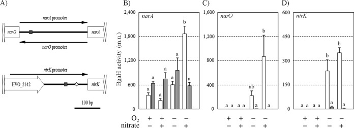 FIG 5