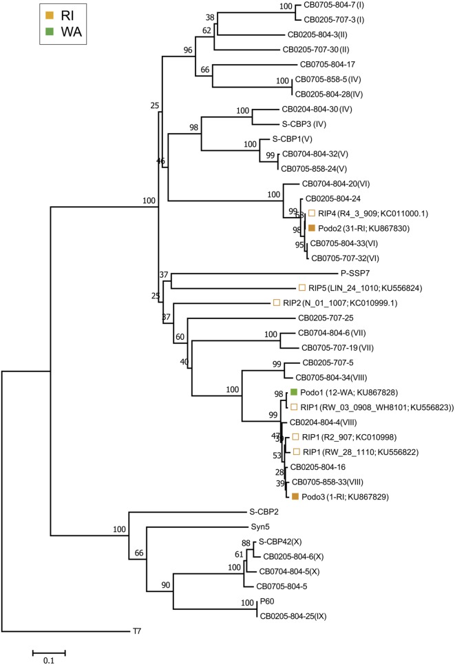 FIGURE 3