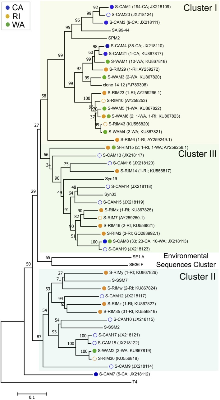 FIGURE 1