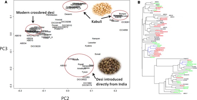 FIGURE 1