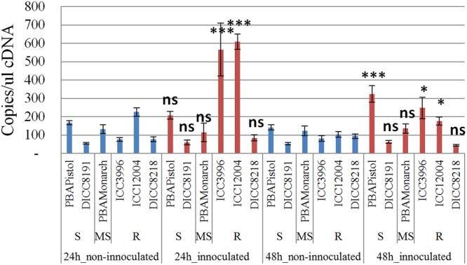 FIGURE 6