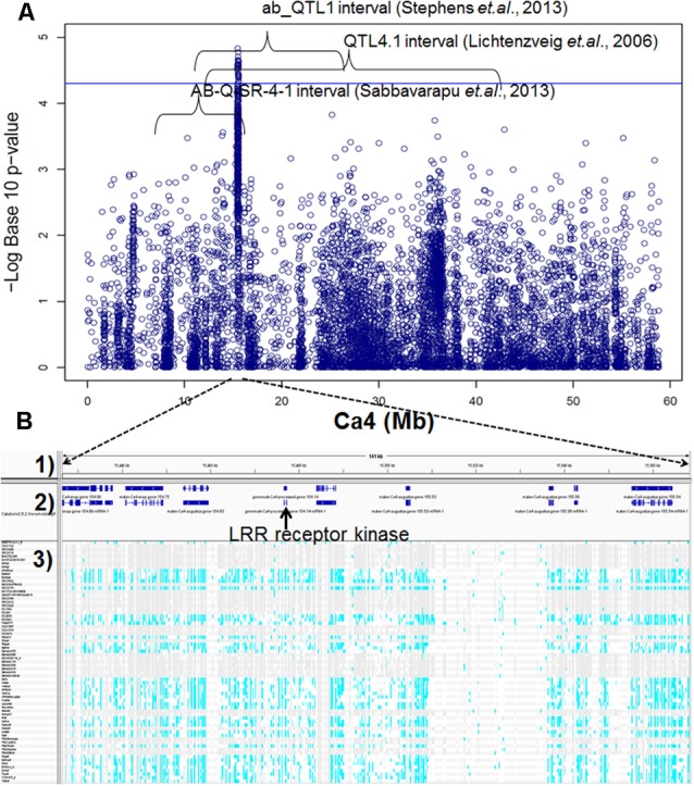 FIGURE 3