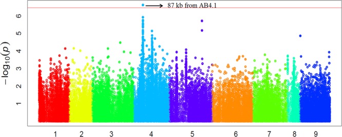 FIGURE 5