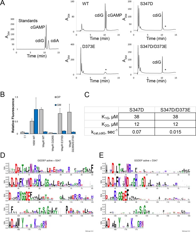 Figure 6—figure supplement 1.