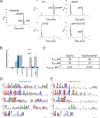 Figure 6—figure supplement 1.