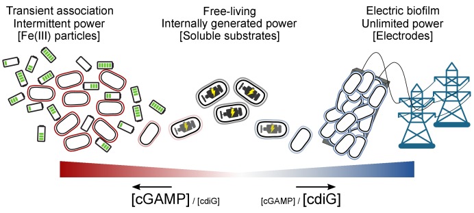 Figure 10.