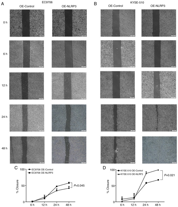 Figure 6.