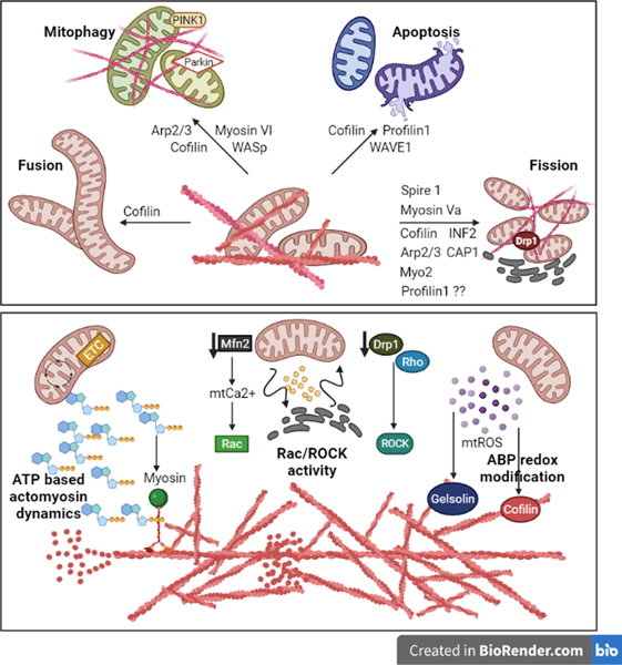 Fig 3: