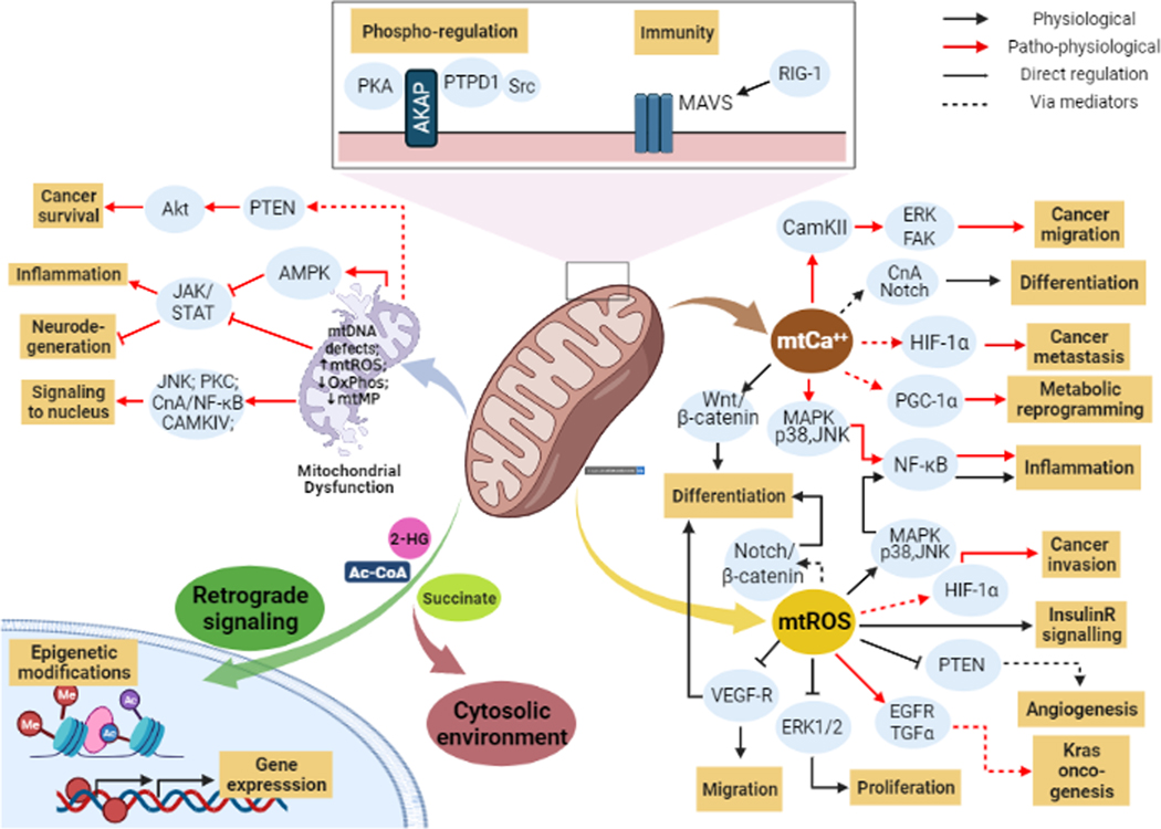 Fig 2: