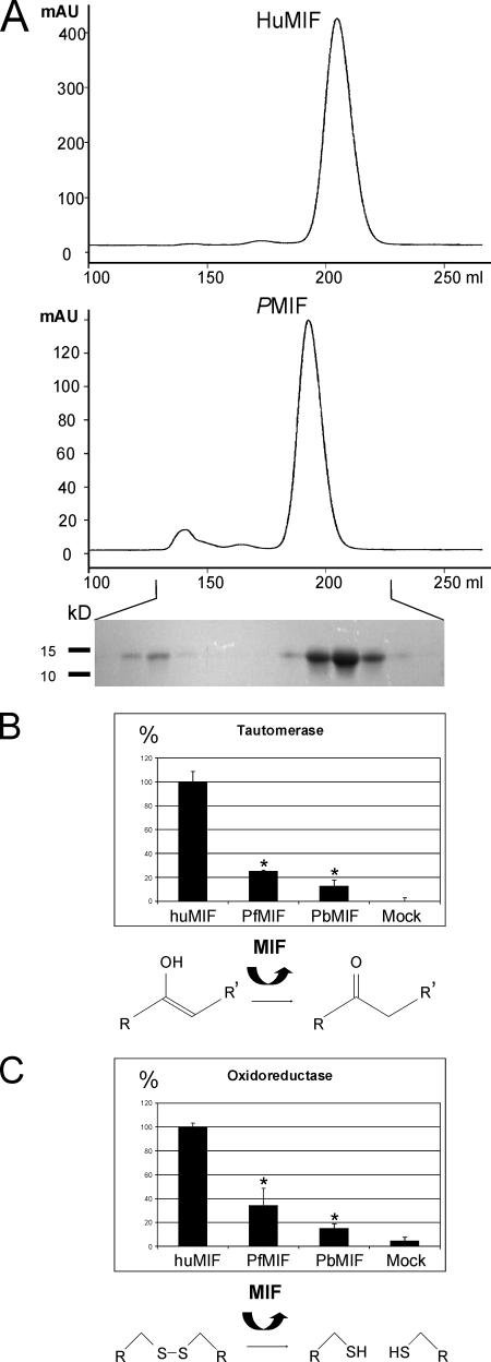 FIG. 5.